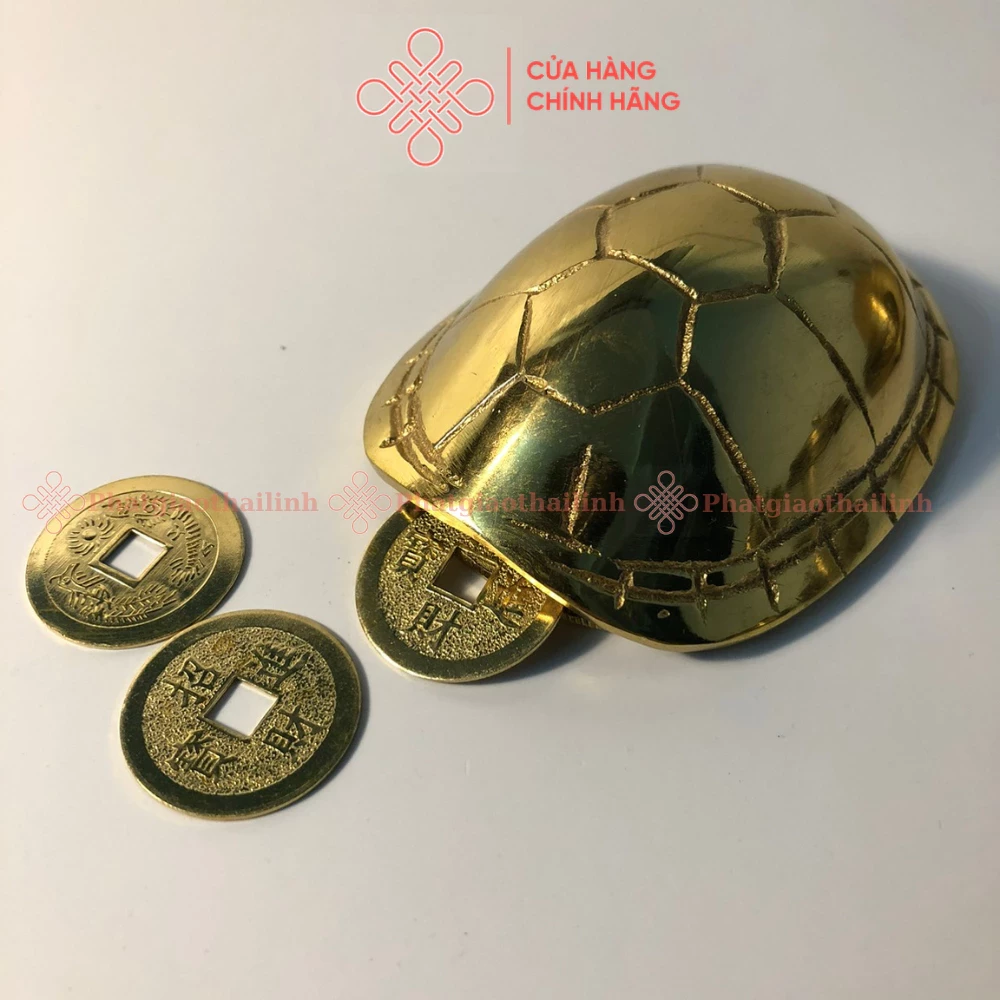 Mai Rùa Gieo Quẻ Lục Hào Bằng Đồng ( Tặng Kèm Xu) - Cửa Hàng Phật Giáo Thái Linh